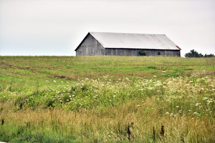 barn